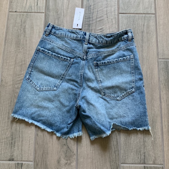 Dynamite Renee Jean shorts - Picture 6 of 7